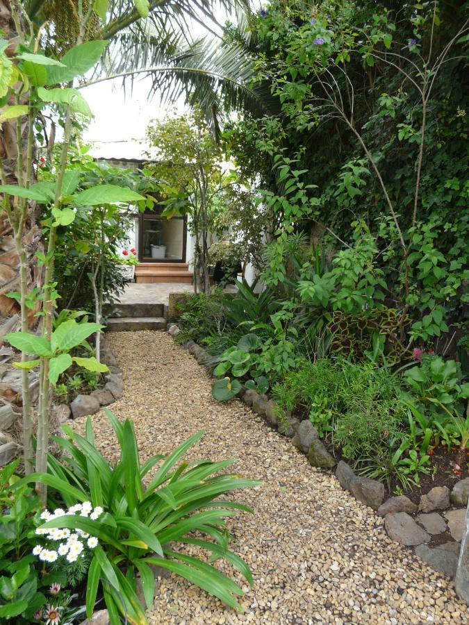 Casa Flora Loft Studio サウサル エクステリア 写真