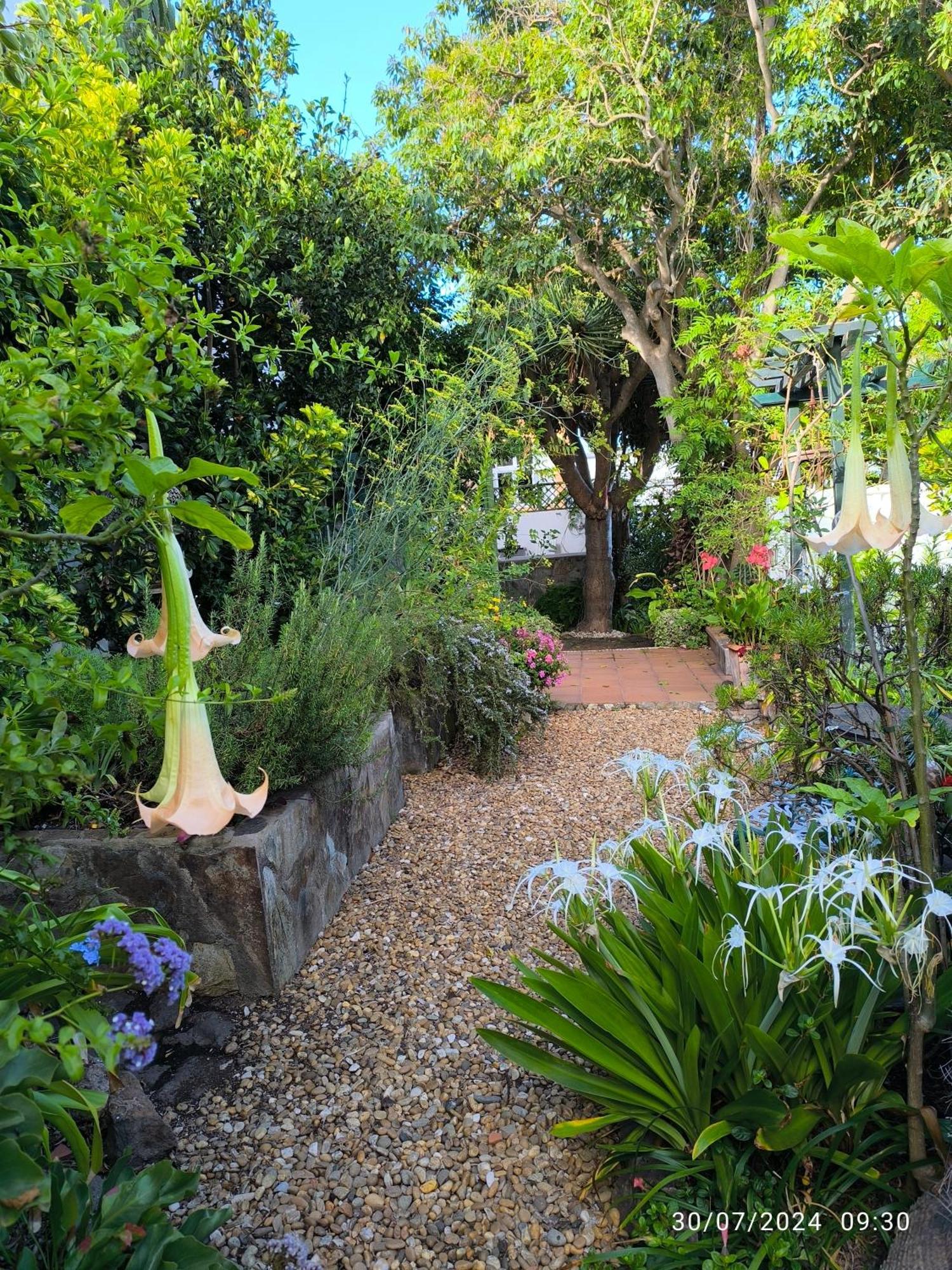 Casa Flora Loft Studio サウサル エクステリア 写真