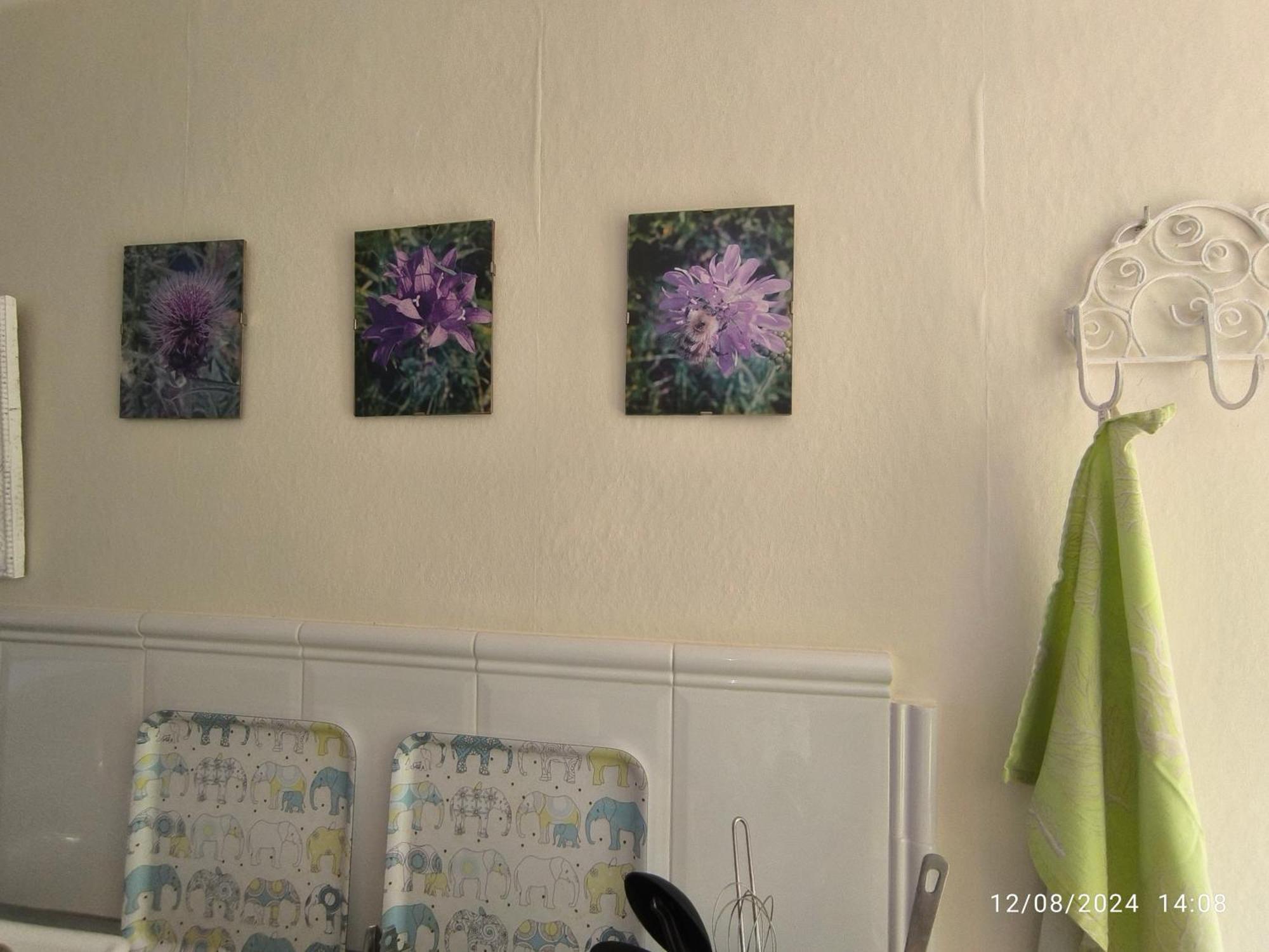 Casa Flora Loft Studio サウサル エクステリア 写真